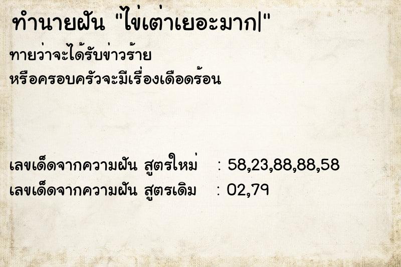 ทำนายฝันทำนายฝันไข่เต่าเยอะมาก|